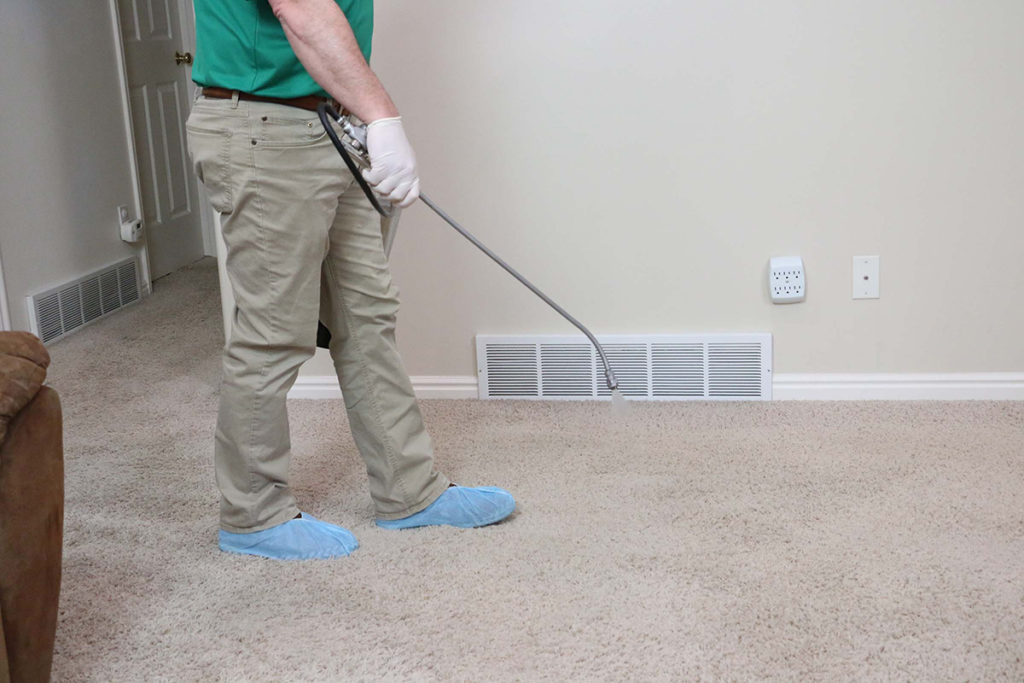 Chem-Dry carpet cleaning franchise franchisee cleans carpet