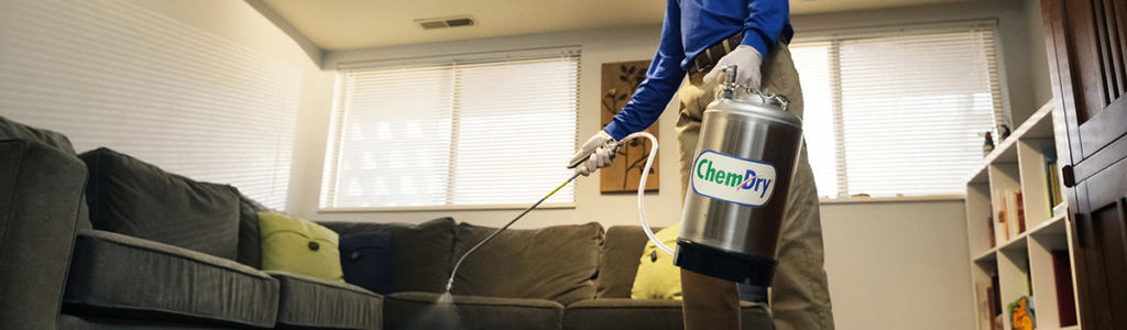 Chem-Dry franchise owner cleans carpet in a living room